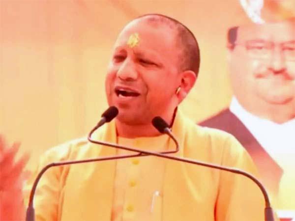 yogi