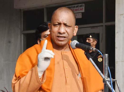 yogi