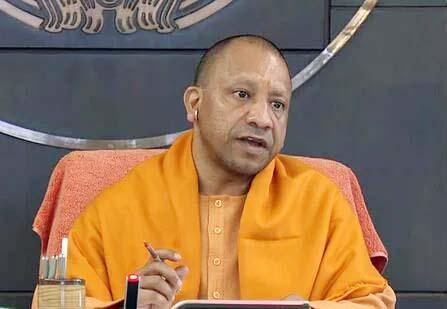 yogi