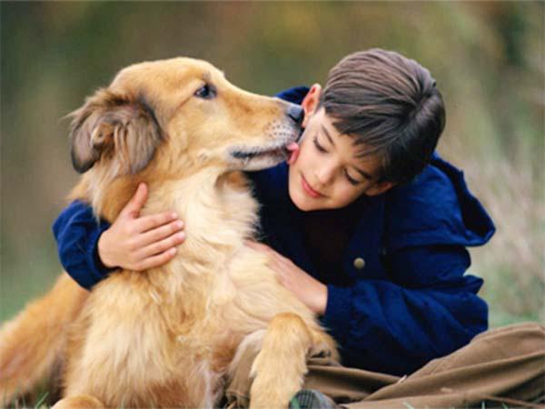 pet