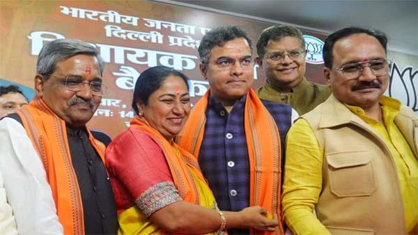 Delhi Cabinet