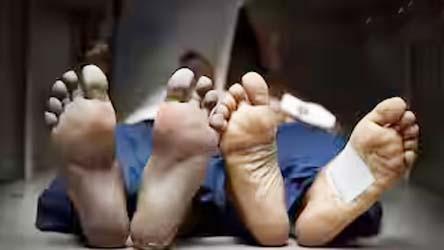 3 Decomposed Bodies