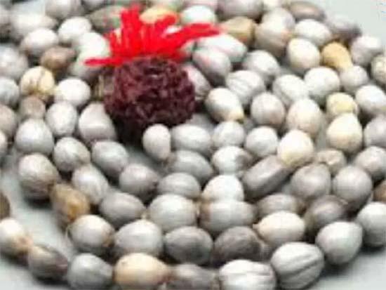 Vaijayanti Mala