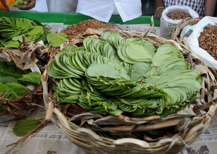 स्वास्थ्य के लिए फायदेमंद है पान, मगर क्यों नहीं खाते हैं बासी?