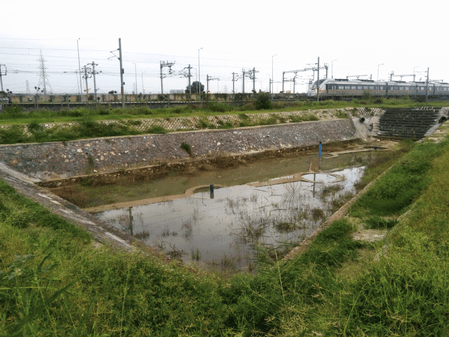 दिल्ली-मेरठ नमो भारत कॉरिडोर पर वर्षाजल संचयन के लिए लगभग 900 पिट्स का प्रभावी तंत्र बनकर तैयार