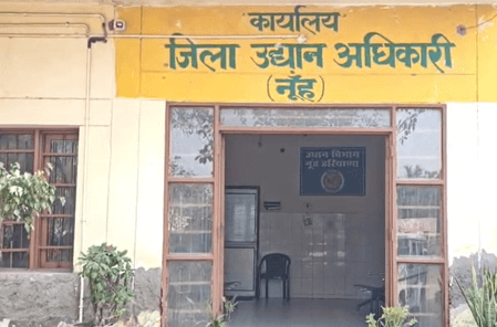 हरियाणा: बेरोजगार युवाओं और भूमिहीन किसानों के लिए आय का साधन बना मधुमक्खी पालन