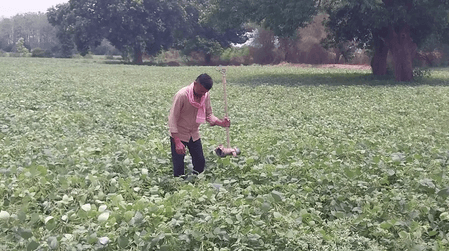 मध्य प्रदेश : हरदा जिले में 'सम्मान निधि' किसानों के लिए बनी वरदान, जीवन में आया बड़ा बदलाव