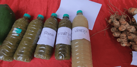 भागलपुर में प्राकृतिक खेती को बढ़ावा: छोटे किसानों को प्रति एकड़ सहायता राशि और प्रशिक्षण दे रही सरकार