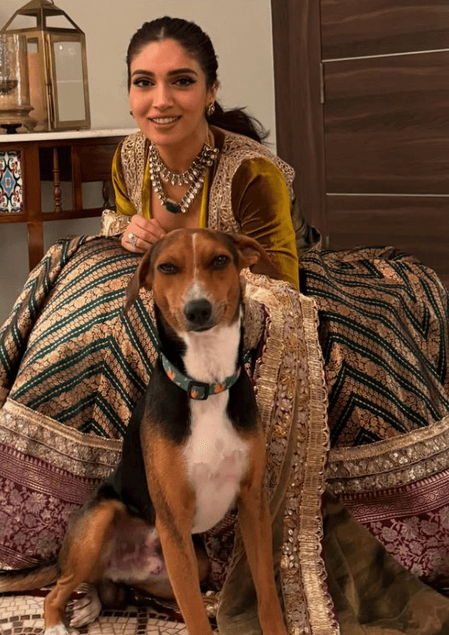 सुप्रीम कोर्ट के आवारा कुत्तों पर आदेश पर भूमि पेडनेकर ने जताई चिंता, कहा- 'ये समस्या का समाधान नहीं'