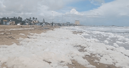 चेन्नई तट पर बना जहरीला झाग, मछुआरों की आजीविका खतरे में