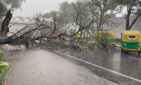 कोयंबटूर: भारी बारिश को लेकर चेतावनी के बाद पिल्लूर बांध इकोटूरिज्म रद्द