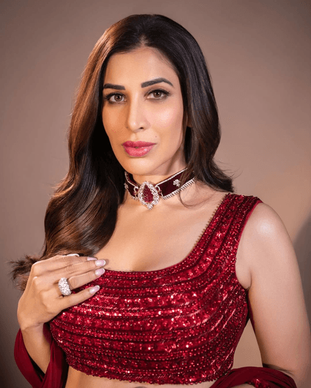 सोफी चौधरी ने बांधे ऋतिक रोशन की तारीफों के पुल, कहा - 'ग्रीक गॉड जैसा है उनका लुक'