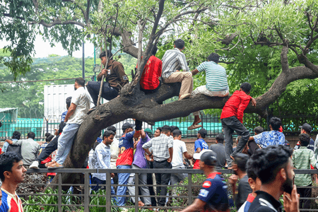 चिन्नास्वामी भगदड़ : तेजस्वी सूर्या समेत कई नेताओं ने कर्नाटक सरकार को ठहराया जिम्मेदार