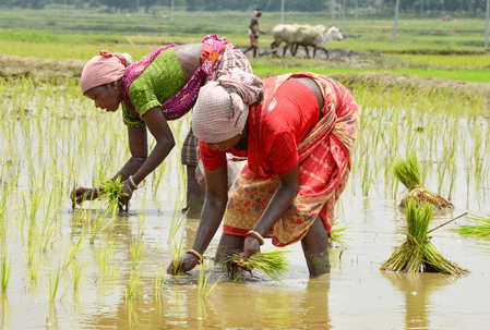 भारत सरकार ने शुरू किया 'भारती' इनिशिएटिव, कृषि निर्यात बढ़ाने पर होगा फोकस