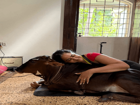 समीरा रेड्डी को मिली उनकी बेस्टी, गाय की बच्ची के साथ होती है दिन की शुरुआत