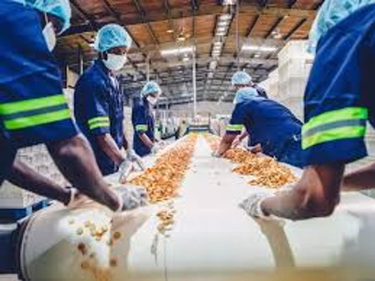 PLI scheme food processing