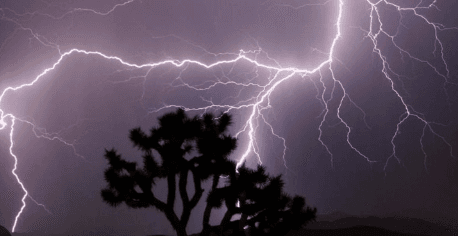 ओडिशा के अलग-अलग जिलों में गिरी आकाशीय बिजली, आए दस लोगों की मौत