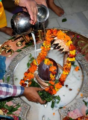 महाशिवरात्रि पर राष्ट्रपति, उपराष्ट्रपति और प्रधानमंत्री मोदी समेत कई बड़े नेताओं ने दीं शुभकामनाएं