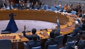 यूएनएससी में पाकिस्तान को इजरायल ने लताड़ा,  ओसामा बिन लादेन की दिलाई याद