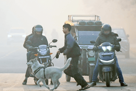 दिल्ली-एनसीआर में कड़ाके की ठंड और जहरीली हवा की दोहरी मार, हालात गंभीर