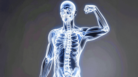 वर्ल्ड ऑस्टियोपोरोसिस डे- 2025 : धीरे-धीरे हड्डियां हो रही कमजोर? आयुर्वेदिक नुस्खों से मिलेगी मजबूती