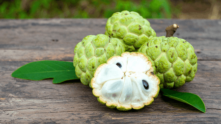 खून की कमी करे दूर, हड्डियां बनाए मजबूत, जानें सीताफल और इसके पत्तों के फायदे