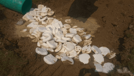 गाजियाबाद : निडोरी में 2,500 किलो मिलावटी पनीर नष्ट, नमूने लेकर भेजा गया प्रयोगशाला