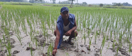 बिहार : वैशाली में केंद्र की योजना से जयकिशुन को मिला पक्का घर, रणधीर कर रहे आधुनिक खेती