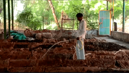 गुजरात वैकल्पिक ऊर्जा के इस्तेमाल में बन रहा आत्मनिर्भर, 250 छात्राओं का संस्थान बना बायोगैस का सफल मॉडल