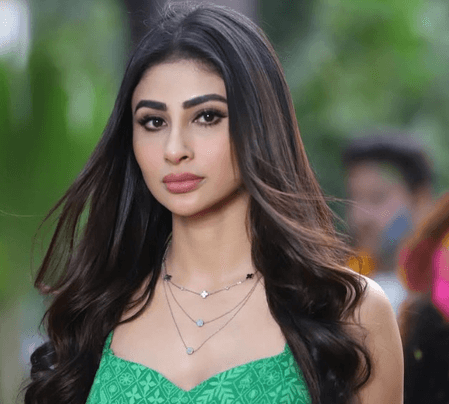 मातृभूमि से बढ़कर कुछ नहीं...‘ऑपरेशन सिंदूर’ के बीच मौनी रॉय-रकुल प्रीत ने की सेना के लिए प्रार्थना