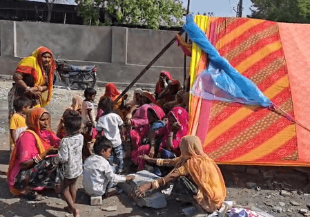 राजस्थान : झालावाड़ में आवारा कुत्तों का आंतक, 2 साल की मासूम को नोचकर मार डाला