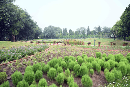 अमृत उद्यान में इस बार तीन नए आकर्षण: जलधारा भी शामिल, राष्ट्रपति मुर्मू ने किया उद्घाटन