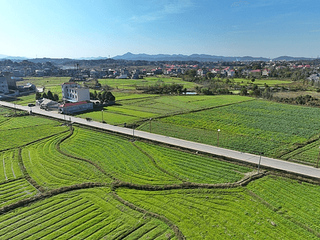 चीन में 50 हजार किलोमीटर से अधिक ग्रामीण सड़कों का निर्माण और नवीनीकरण