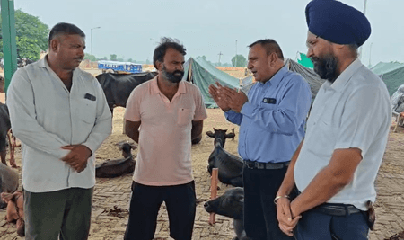 फाजिल्का में पशुओं की सुरक्षा के लिए अलर्ट मोड पर पशुपालन विभाग, 32 टीमें तैनात