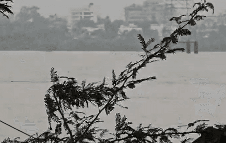 भरूच : नर्मदा का जलस्तर 24 फुट पर, गोल्डन ब्रिज के आसपास सतर्कता बरतने के निर्देश