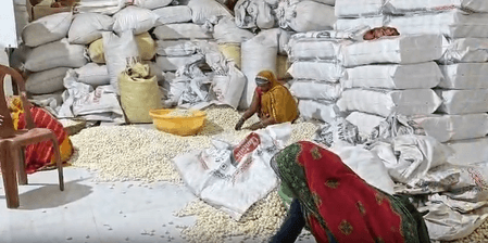 केंद्र सरकार के विजन से बदली जिंदगी, मखाना फैक्ट्री के कामगारों ने जताया आभार