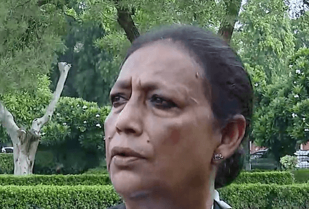 आवारा कुत्तों को लेकर सुप्रीम कोर्ट का फैसला संतुलित: वकील नमिता रॉय