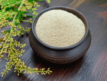 चौलाई के बीज: बुजुर्गों से लेकर गर्भवती महिलाओं के लिए सुपरफूड है चौलाई के बीज, सेवन से मिलेंगे कई लाभ