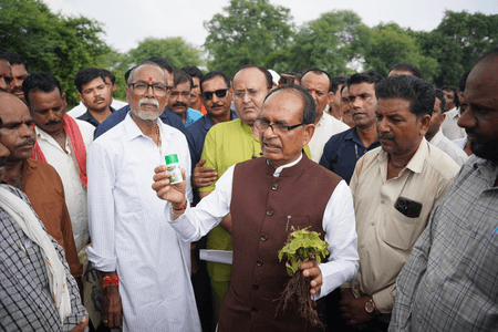 मध्य प्रदेश : घटिया कीटनाशक बेचने वाली तीन कंपनियों पर प्रकरण दर्ज