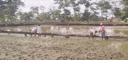 'किसान सम्मान निधि' से खिले किसानों के चेहरे, बोले-पीएम मोदी ने पीड़ा को समझा