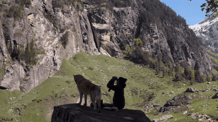 आईएफएफआई में 'ओस्लो : ए टेल ऑफ प्रॉमिस' का टीजर देखकर भावुक हुए लोग