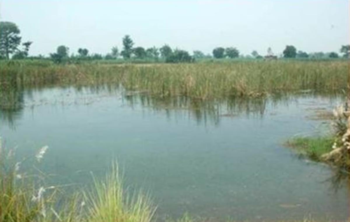 political land encroachment