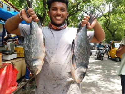 ड्रोन के जरिए पहुंचाई जाएगी दुर्गम इलाकों में मछली: केंद्र