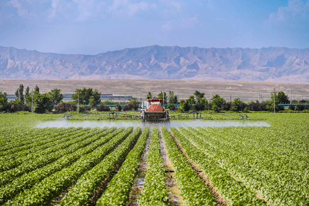 चीन में चौथी कृषि जनगणना की जाएगी