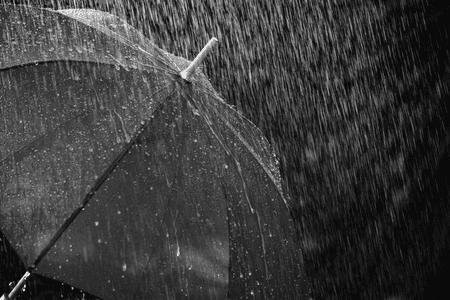 उत्तराखंड में भारी बारिश की चेतावनी, 7 जिलों में स्कूलों की छुट्टी