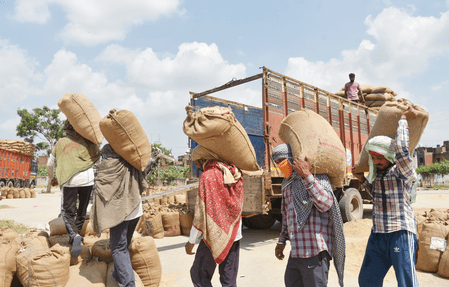 पूर्वी उत्तर प्रदेश में पहली नवंबर से होगी धान की खरीद
