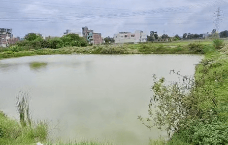 बिहार : प्रधानमंत्री मत्स्य संपदा योजना से शेखपुरा की महिलाएं बन रहीं आत्मनिर्भर