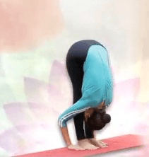 'पादहस्तासन' एक योगी की तपस्या का फल, इसमें छिपा है जीवन का अद्भुत मंत्र