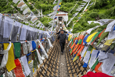 देश का सबसे बड़ा कार्बन सिंक बनकर उभरा अरुणाचल प्रदेश, सीएम पेमा खांडू ने दी जानकारी