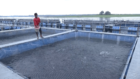 झारखंड : तिलैया जलाशय में मछली पालन बना रोजगार का नया जरिया, पीएम मत्स्य संपदा योजना से बदली तकदीर